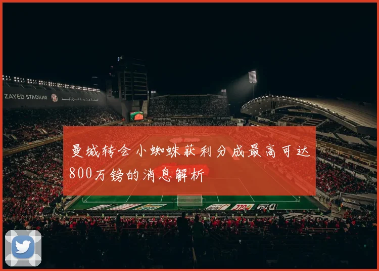 曼城转会小蜘蛛获利分成最高可达800万镑的消息解析